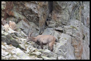 IMG_1567  